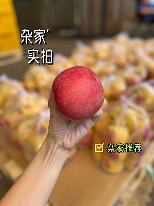 周日取货：【山东红富士】袋装苹果，一袋7.5斤左右，酸甜适口！ 商品图6
