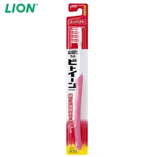 日本狮王山切牙刷 中头软毛 商品图2