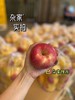 周日取货：【山东红富士】袋装苹果，一袋7.5斤左右，酸甜适口！ 商品缩略图4