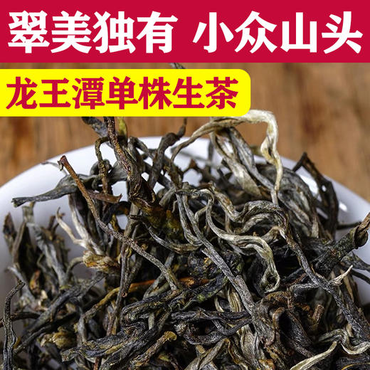 2021【龙王潭】古树单株生茶 商品图1