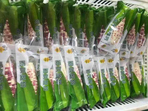 【早餐系列】西双版纳甜糯小玉米礼盒装/散装，又香又糯，白色花色随机发货！ 商品图4