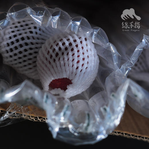 生态红宝石红桃 | 合作生产*Eco-ruby peach | Coproduction 商品图7