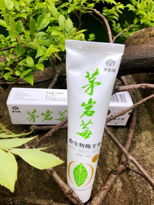 【2只装】茅岩莓fe生物酶牙膏 商品图4