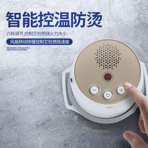 抢999元“智能艾”套装（1套艾灸仪+6盒蕲艾柱+3盒蕲艾条）再送1盒艾筋贴 商品图1