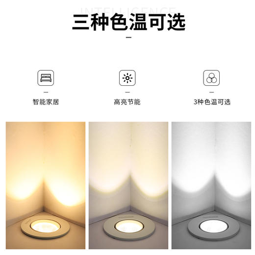 明月系列天花灯（停产） 商品图1