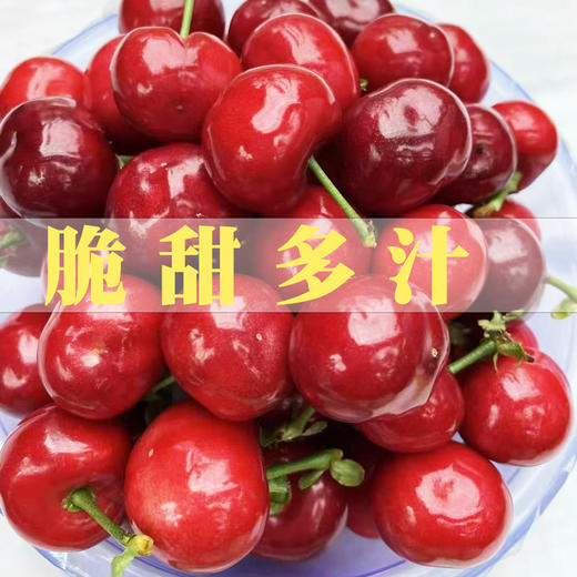 产地直采黑珍珠大樱桃1斤装 新鲜应季水果 商品图0
