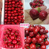 产地直采黑珍珠大樱桃1斤装 新鲜应季水果 商品缩略图1