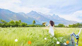 一个周末就可以去云南、四川、青海、甘肃......请假1-3天