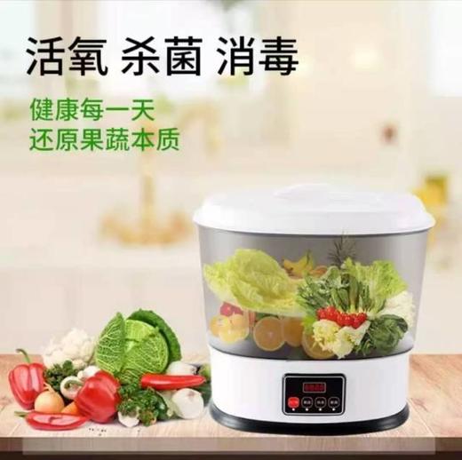 【家用电器】果蔬消毒机智能家用食材肉类活性氧洗机洗菜机 商品图1