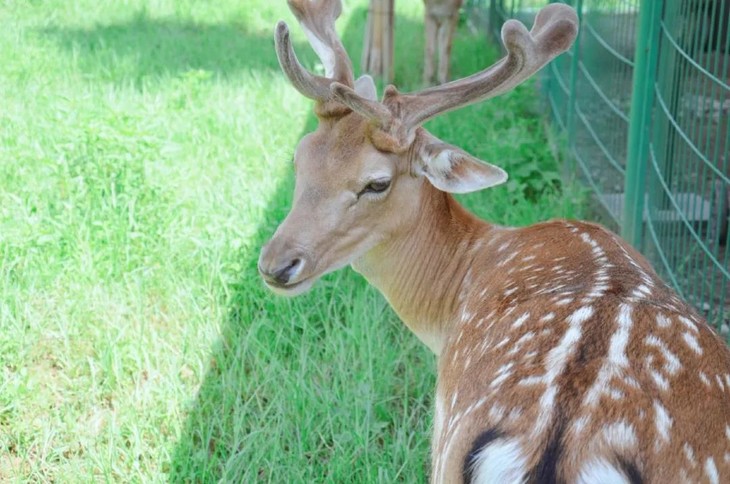暑期亲子度假 |岳阳洋沙湖渔窑客栈 欢乐水世界酒景套餐特惠预售,450