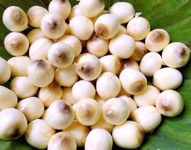 软糯易煮的武义一级宣莲