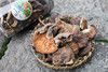 【龙门秘境—野生蘑菇135g】 商品缩略图1