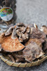 【龙门秘境—野生蘑菇135g】 商品缩略图3