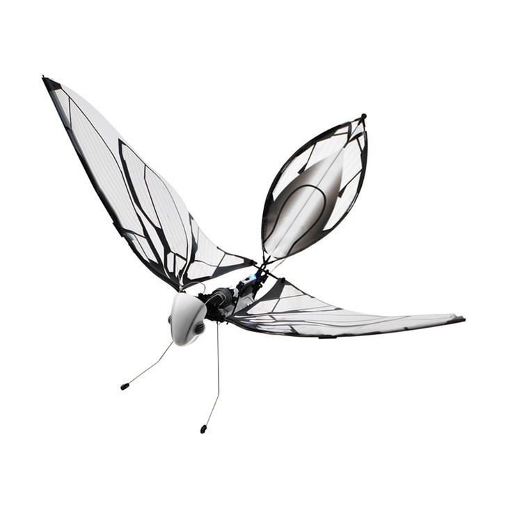 法国metafly仿生昆虫/metabird仿生鸟!智能仿真飞行器!