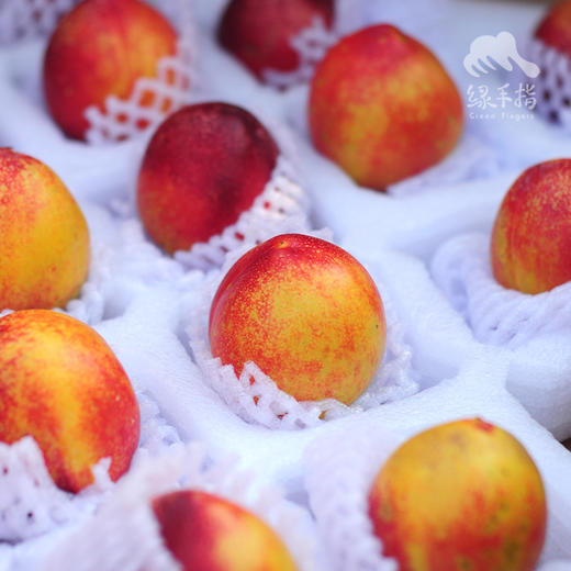 生态油桃 | 合作生产 *Eco nectarine | Coproduction 商品图3