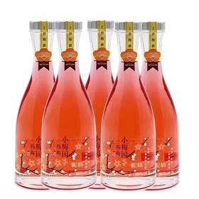 青梅杨梅酒一瓶（拼团）