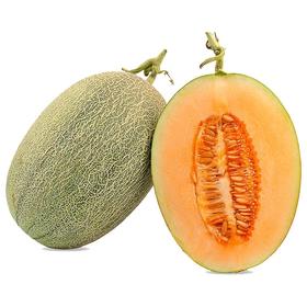 H秒杀16.8元纯甜哈密瓜一个