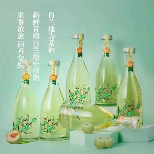 青梅杨梅酒一瓶（拼团） 商品图1