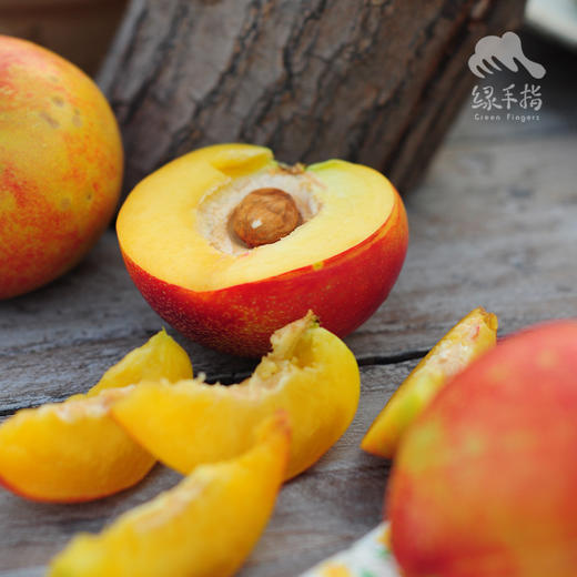 生态油桃 | 合作生产 *Eco nectarine | Coproduction 商品图2