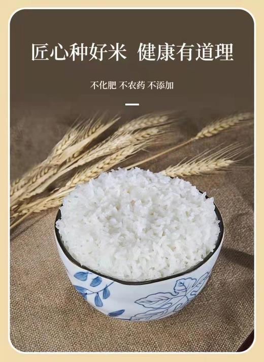 【自营】北方有机大米（穗月之歌）大米/胚芽米/糙米 10斤 商品图1