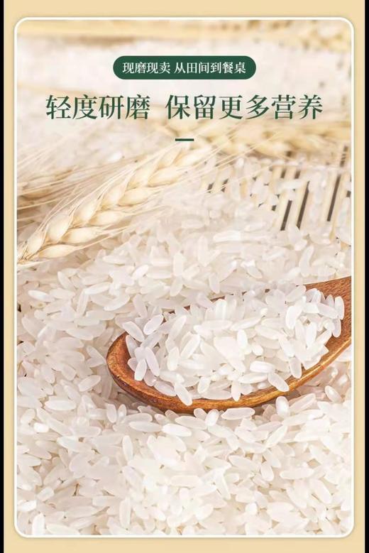【自营】北方有机大米（穗月之歌）大米/胚芽米/糙米 10斤 商品图0