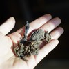 宽茶窄酒 ｜不知年临沧老茶头 商品缩略图2
