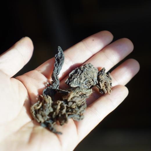 宽茶窄酒 ｜不知年临沧老茶头 商品图2