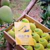 广西百色台农芒果5斤/10斤 商品缩略图1