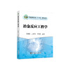冶金反应工程学/王林珠,陈朝轶,兰苑培 商品缩略图0