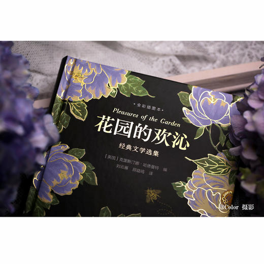 花园的欢沁：经典文学选集（全彩插图本） 商品图1