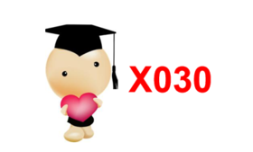 lme3231—X030按形状规律排序