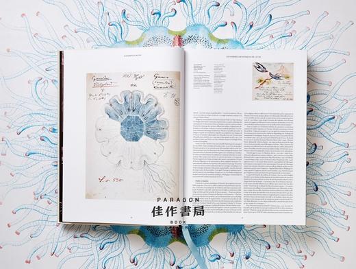 The Art and Science of Ernst Haeckel /恩斯特·海克尔 英文原版画册 大开本 / Taschen XXL 系列 商品图2