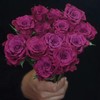 【AB级稀有蓝莓多头玫瑰·第二件减10元】5支/份    长约60cm 商品缩略图0