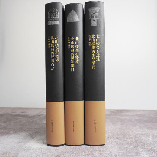 北山楼金石遗迹 藏碑经眼百品+藏碑见知辑目+集古小品举要套装3册 文史大家施蛰存北山楼金石遗迹拓本影印 商品图5