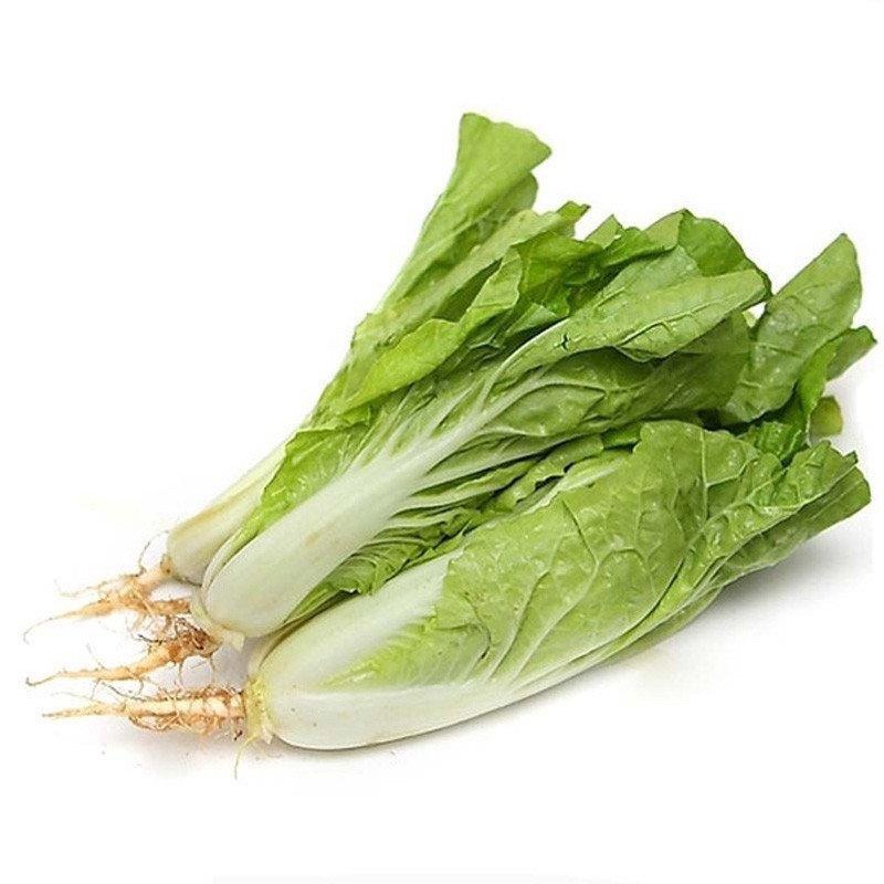 白菜小每公斤