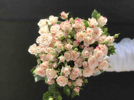 多头玫瑰·折射 商品图2