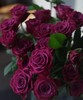 【AB级稀有蓝莓多头玫瑰·第二件减10元】5支/份    长约60cm 商品缩略图4