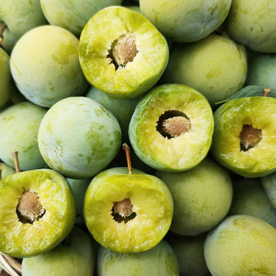 【尝鲜甄选】四川青脆李脱骨李脆甜爽口 儿时的味道