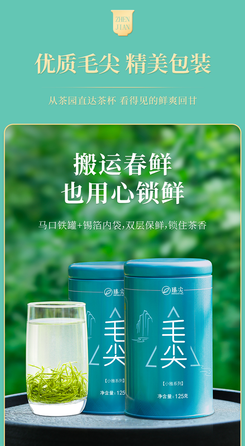 【臻尖-小雅】新茶明前嫩芽毛尖绿茶雅安蒙顶山茶叶250g罐装