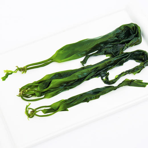 海带嫩芽新鲜嫩芽火锅食材非干货小嫩芽200g500g