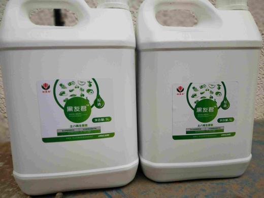 有机复合酸黑友君！促进生根，提高品质，缓解盐害，改良土壤！滴灌施肥有机复合酸黑友君！ 商品图1