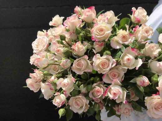 多头玫瑰·折射 商品图0