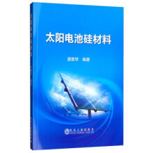 太阳电池硅材料/唐雅琴