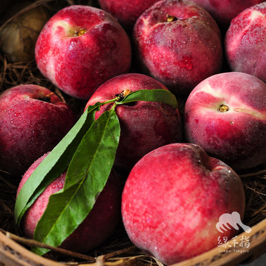 生态红桃（中通） | 合作生产 *Eco-red peach | Partner Production 商品图4