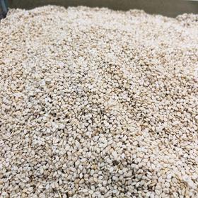 250g 散 瑞和泰 白芝麻 ±5g散称南北货