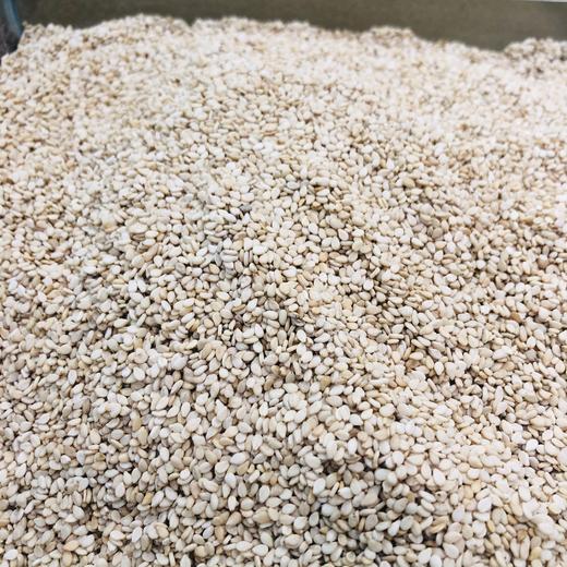 250g 散 瑞和泰 白芝麻 ±5g散称南北货 商品图0
