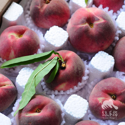生态红桃（中通） | 合作生产 *Eco-red peach | Partner Production 商品图6