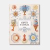 The Art and Science of Ernst Haeckel /恩斯特·海克尔 英文原版画册 大开本 / Taschen XXL 系列 商品缩略图0