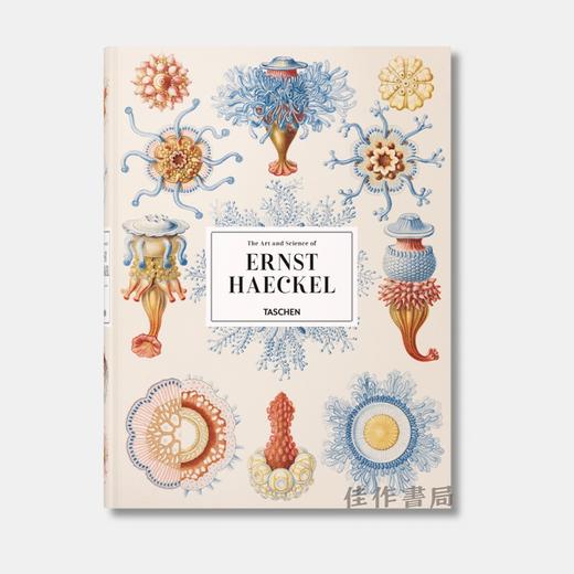 The Art and Science of Ernst Haeckel /恩斯特·海克尔 英文原版画册 大开本 / Taschen XXL 系列 商品图0