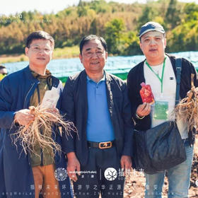  寻参之旅—插秧未来集安行 !